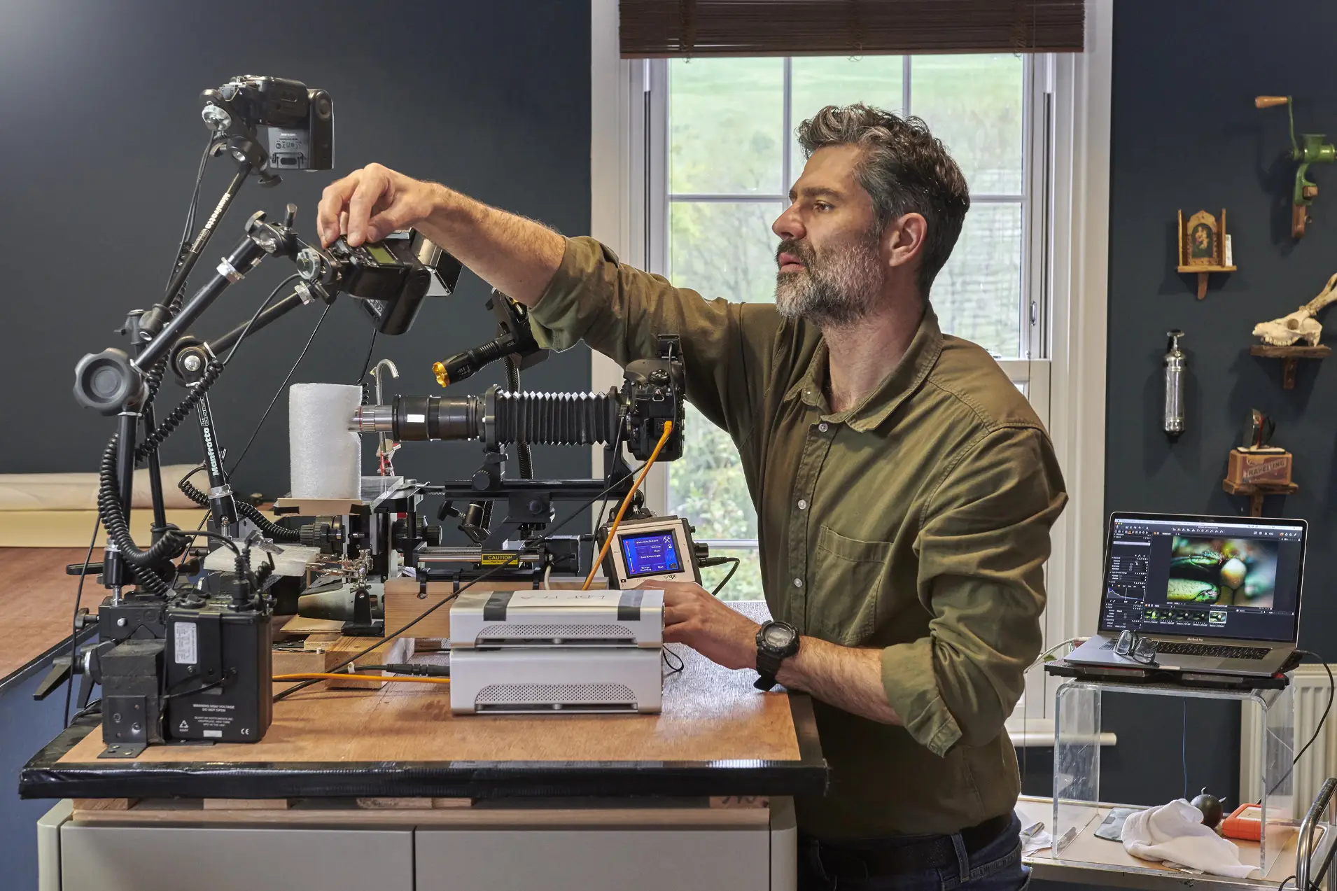 Levon Biss Microsculpture